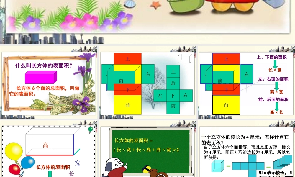 《长方体的表面积》课件1-浙教版小学数学五年级下册.ppt