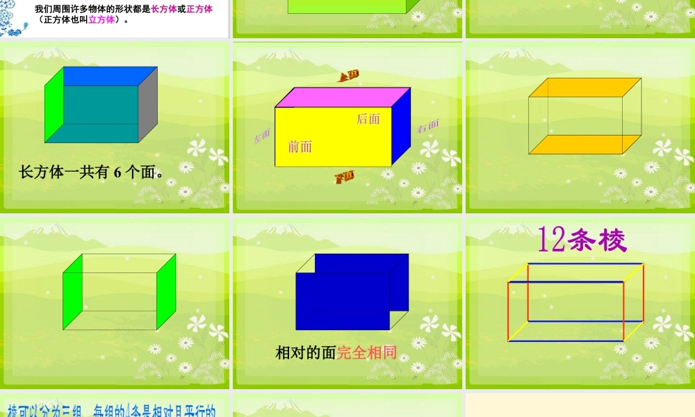 《长方体的面、棱和顶点》课件1-浙教版小学数学五年级下册.ppt