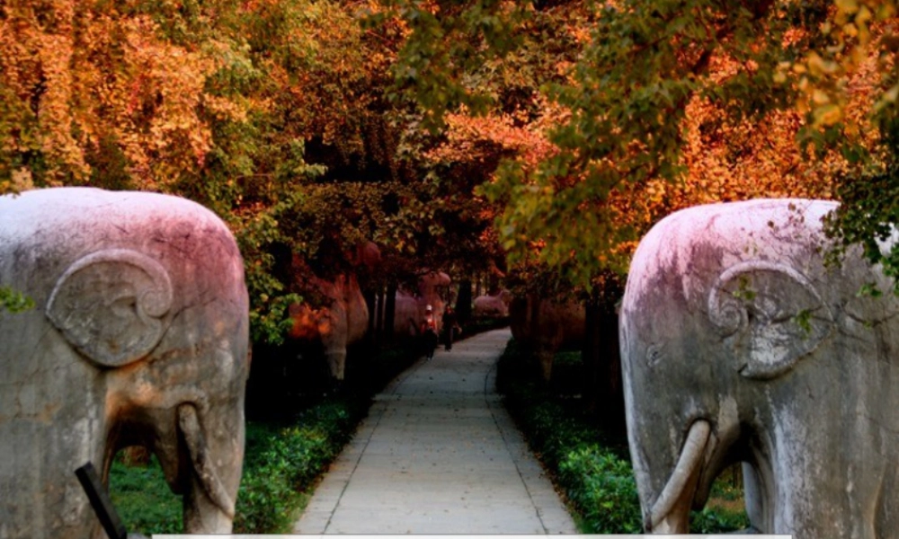 认识公顷-浙教版小学数学五年级上册.ppt