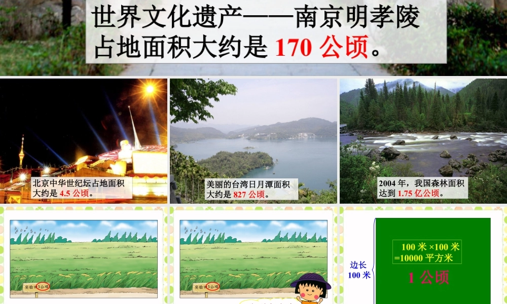 认识公顷-浙教版小学数学五年级上册.ppt