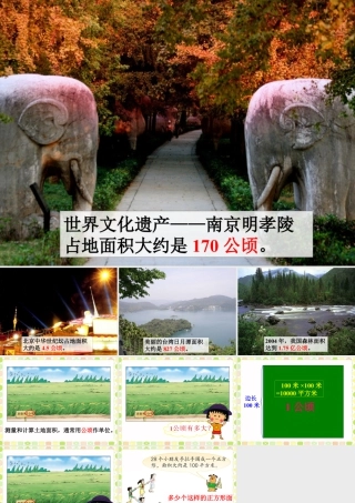 认识公顷-浙教版小学数学五年级上册.ppt