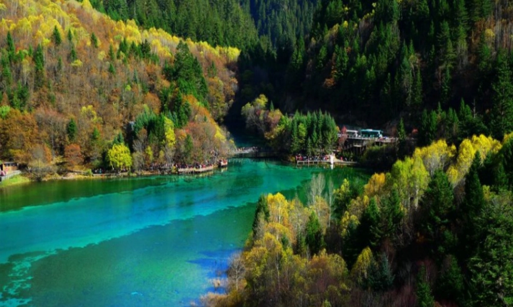 认识平方千米-浙教版小学数学五年级上册.ppt