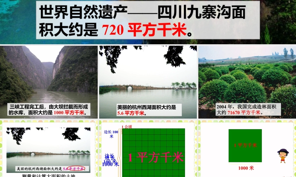 认识平方千米-浙教版小学数学五年级上册.ppt