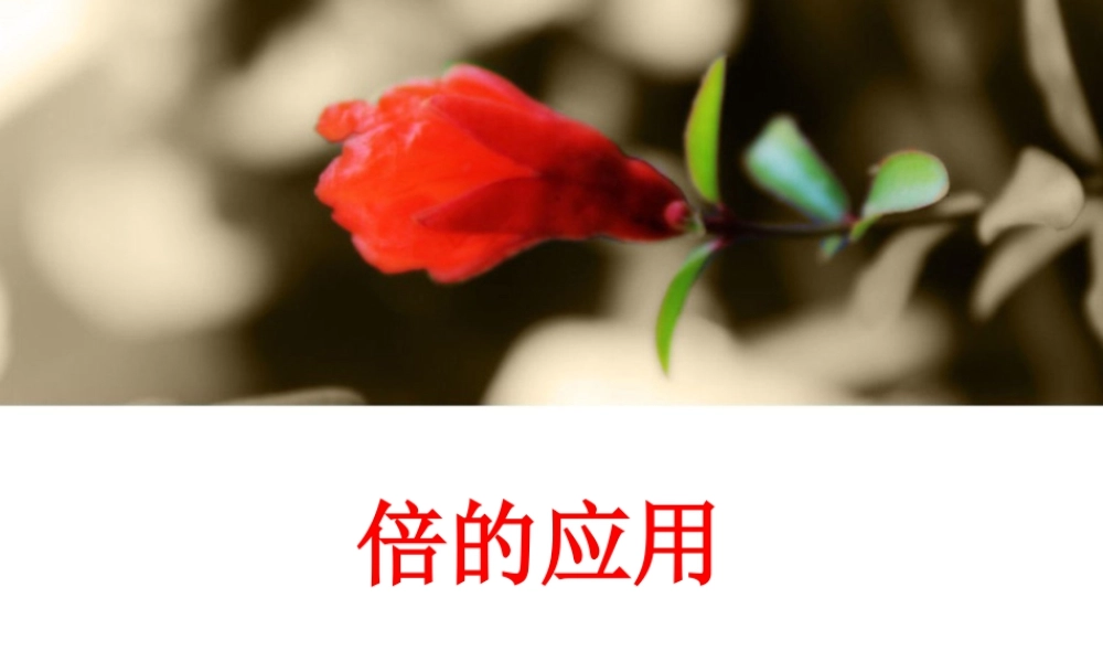 浙教版小学数学二年级上册-《倍的应用》课件.ppt