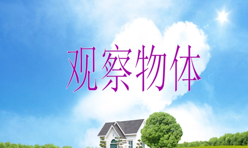 浙教版小学数学二年级下册-《观察物体》课件2.ppt