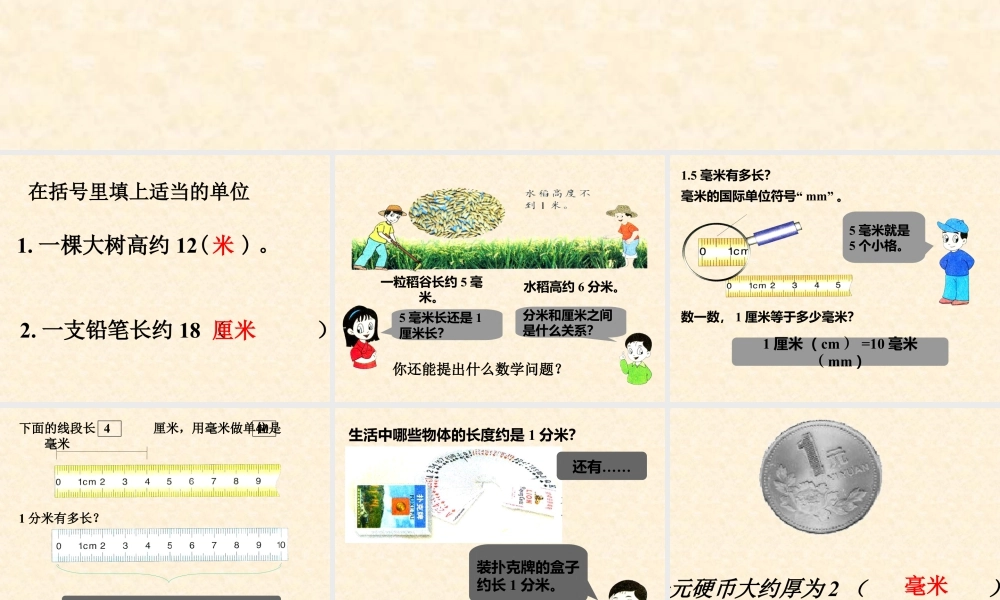 浙教版小学数学三年级上册-《认识毫米与分米》课件.ppt