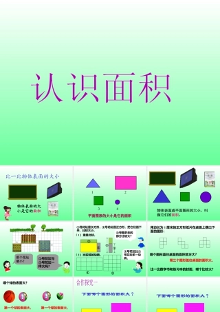 浙教版小学数学三年级上册-《认识面积》课件.ppt