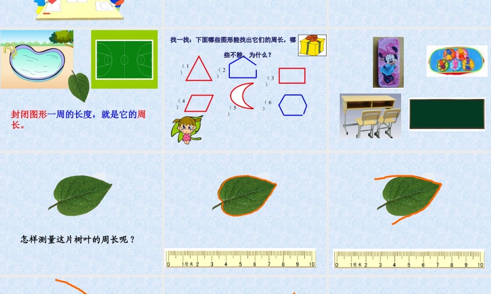 浙教版小学数学三年级上册-《认识图形的周长》课件.ppt