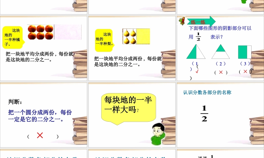 浙教版小学数学三年级下册-《认识几分之一》课件1.ppt