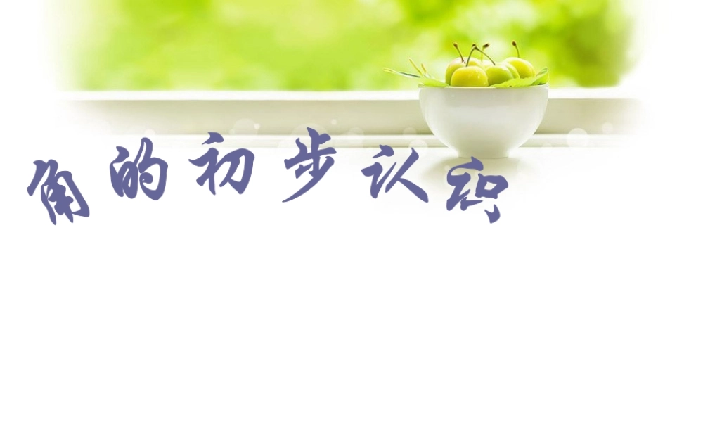 浙教版小学数学四年级上册-《认识角》课件.ppt