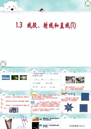 浙教版小学数学四年级上册-《线段、射线和直线》课件.ppt