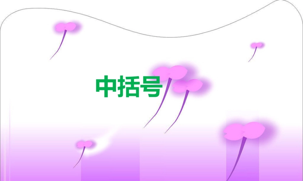 浙教版小学数学四年级上册-《中括号》课件.ppt