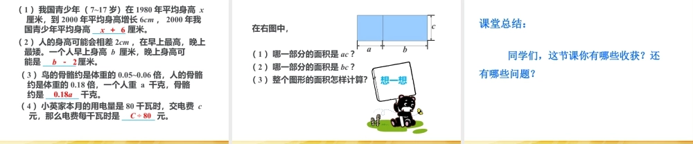 浙教版小学数学四年级下册-《代数式二》课件2.ppt