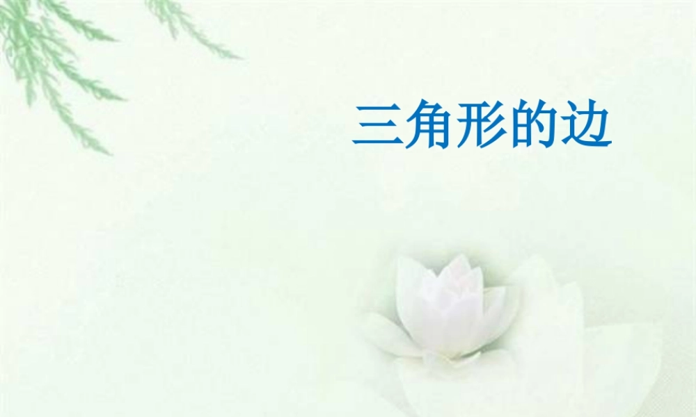 浙教版小学数学四年级下册-《三角形的边》课件1.ppt