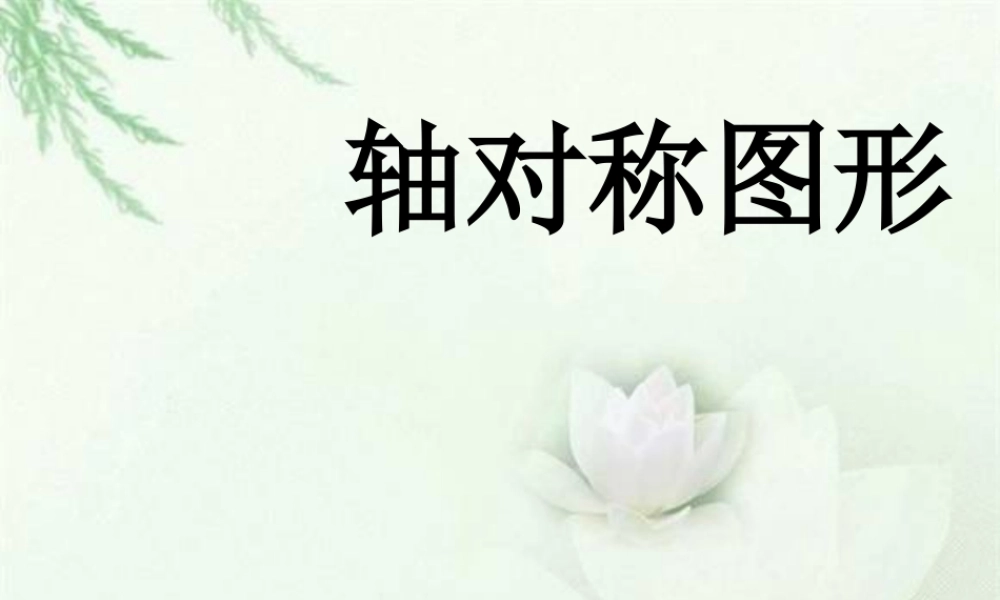 浙教版小学数学四年级下册-《轴对称图形》课件1.ppt