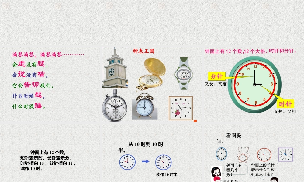 浙教版小学数学一年级上册-《学看钟表》课件.ppt