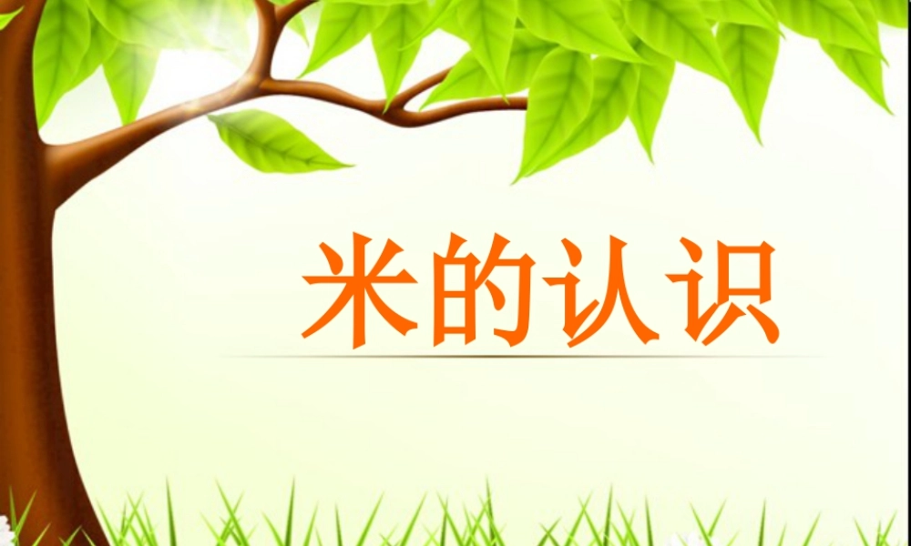 浙教版小学数学一年级下册-《认识米》课件1.ppt