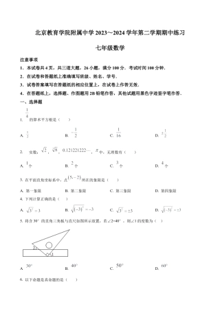北京教育学院附属中学七年级下学期期中数学试题（含答案解析）.docx