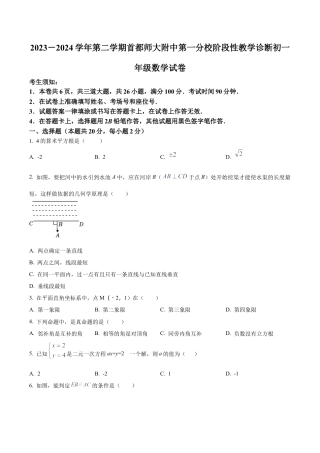 北京市首都师范大学附属中学第一分校七年级下学期期中数学试题（含答案解析）.docx