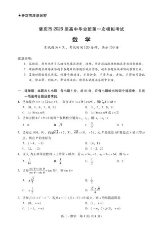 广东省肇庆市2026届高三上学期第一次模拟考试数学试卷（含解析）.pdf
