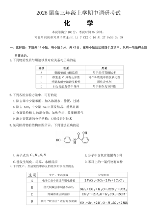 河北省9+1联盟2025-2026学年高三上学期12月期中考试化学试题（含答案）.docx