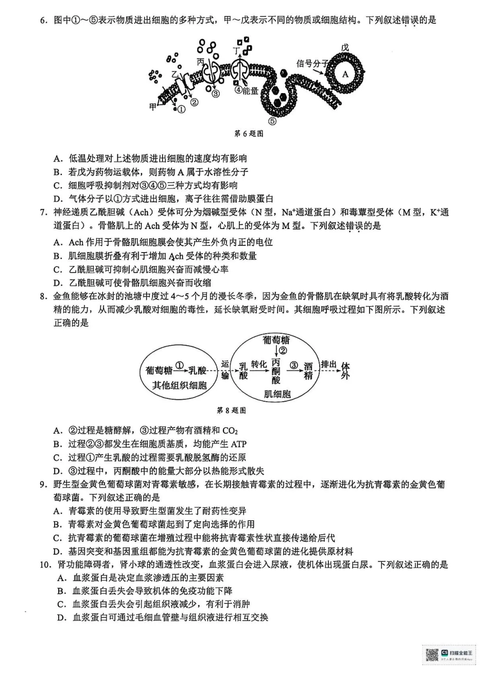 浙江省9+1高中联盟2026届高三上学期期中考试生物试卷（含答案）.pdf_第2页