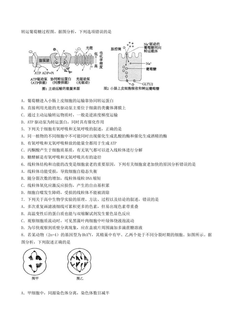 江苏省扬州市高邮市2026届高三上学期10月学情调研测试 生物 Word版含答案.docx_第2页