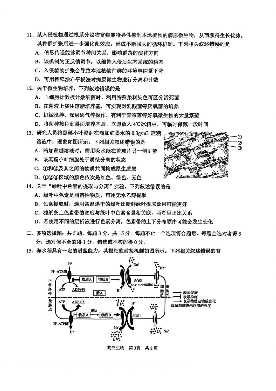 江苏省苏州市2025-2026学年高三上学期期中阳光调研生物试题（含答案）.pdf_第3页