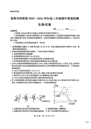 河北省沧衡名校联盟2025-2026学年高三上学期11月期中考试生物试题（含答案）.pdf