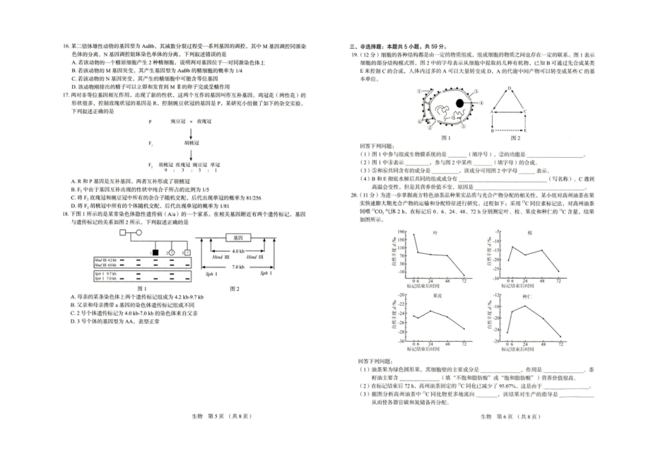 河北省保定市2025-2026学年高三上学期11月期中生物试题（含答案）.pdf_第3页