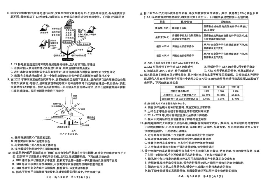 云南民族大学附属高级中学2026届高三联考卷（二）生物试卷（含答案解析）.pdf_第2页