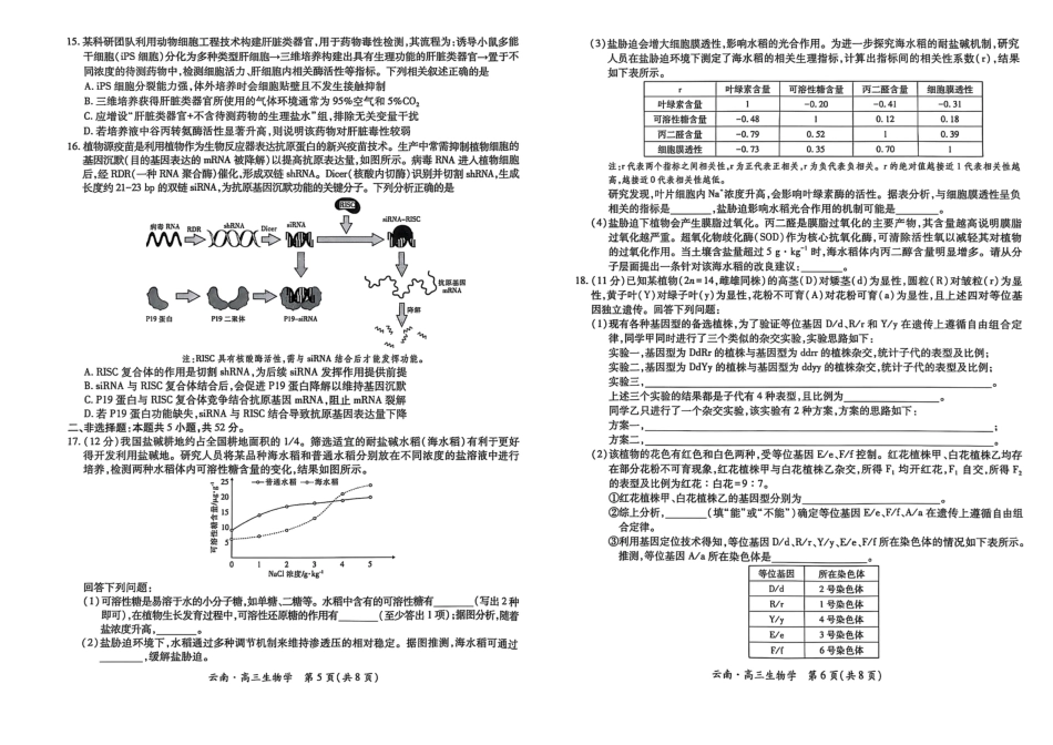 云南民族大学附属高级中学2026届高三联考卷（二）生物试卷（含答案解析）.pdf_第3页