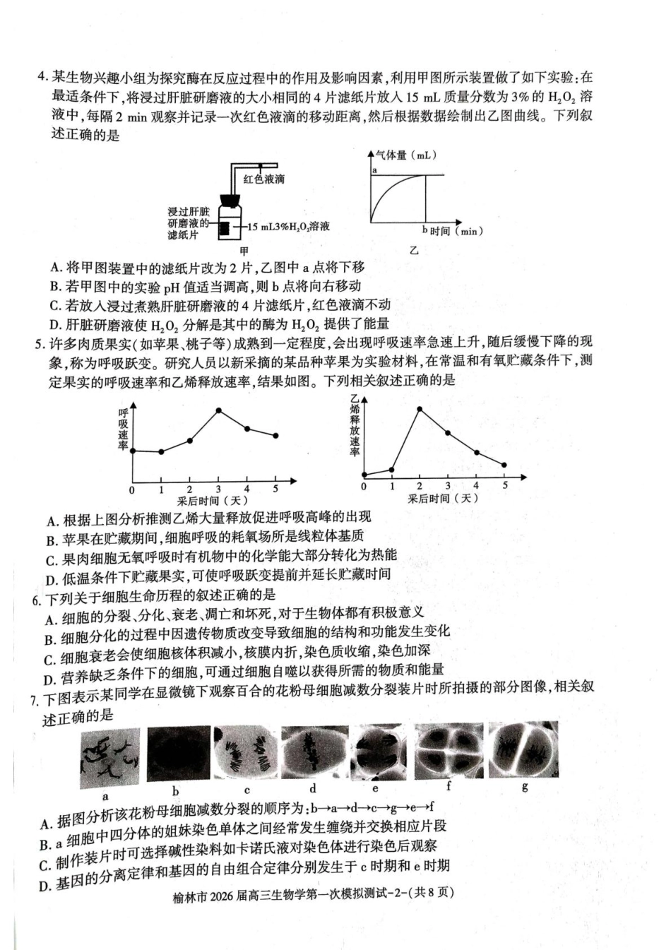 陕西省榆林市2026届高三上学期第一次模拟测试生物试卷（含解析）.pdf_第2页
