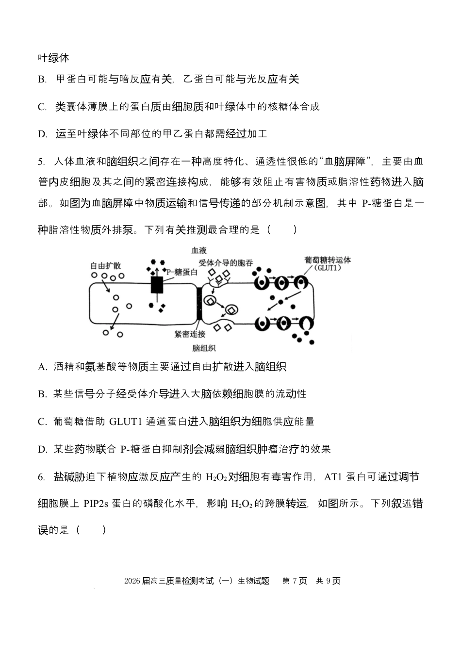 陕西省西安中学2026届高三上学期10月质量检测考试（一）生物（含答案解析）.docx_第2页