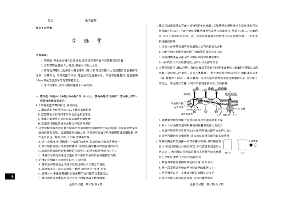 山西省思而行2025-2026学年高三上学期备考核心模拟中期考试生物试题（含答案）.pdf_第1页