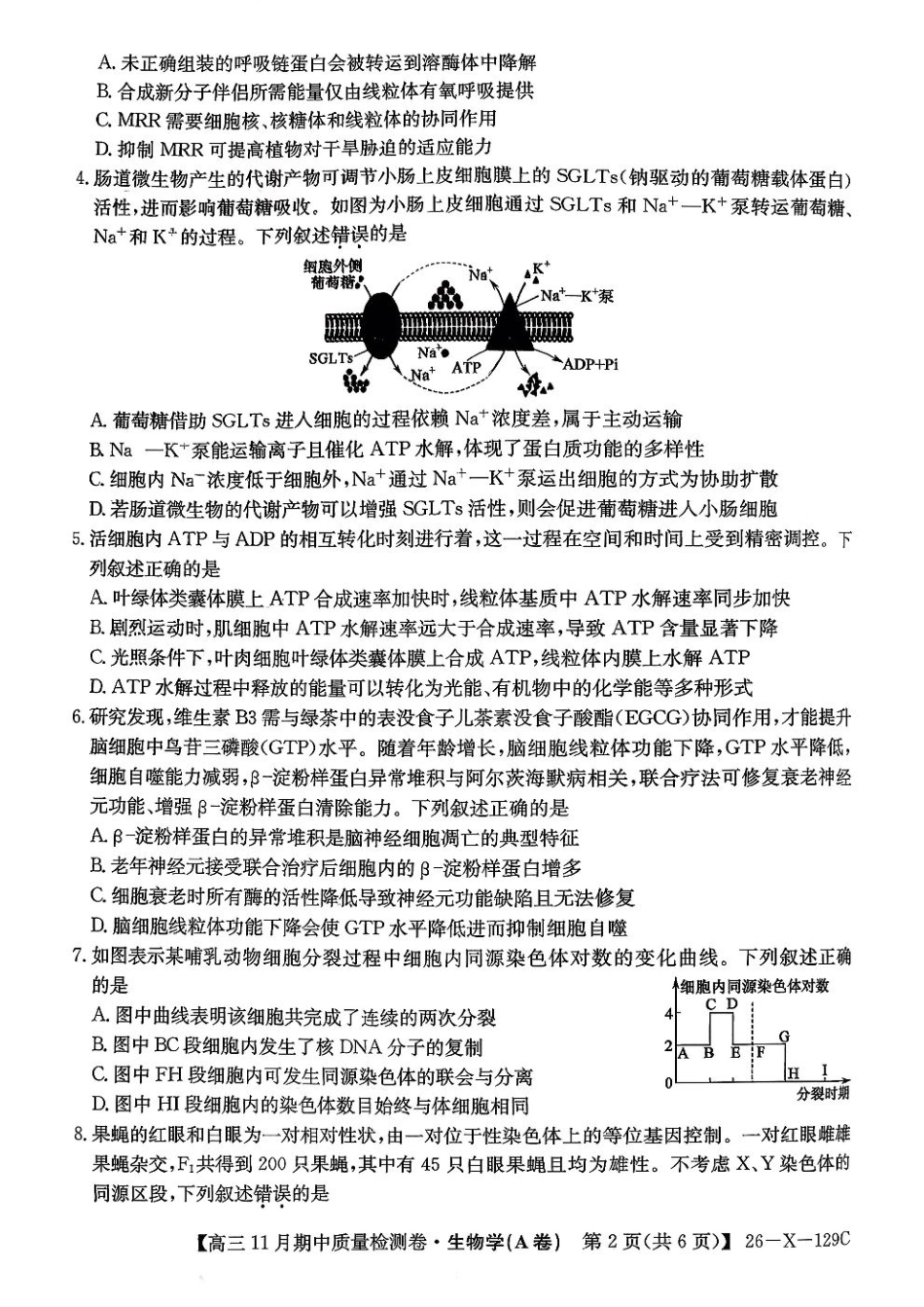 山西三晋卓越联盟（天成大联考）2025-2026高三11月期中质量检测生物试卷（含答案）.pdf_第2页