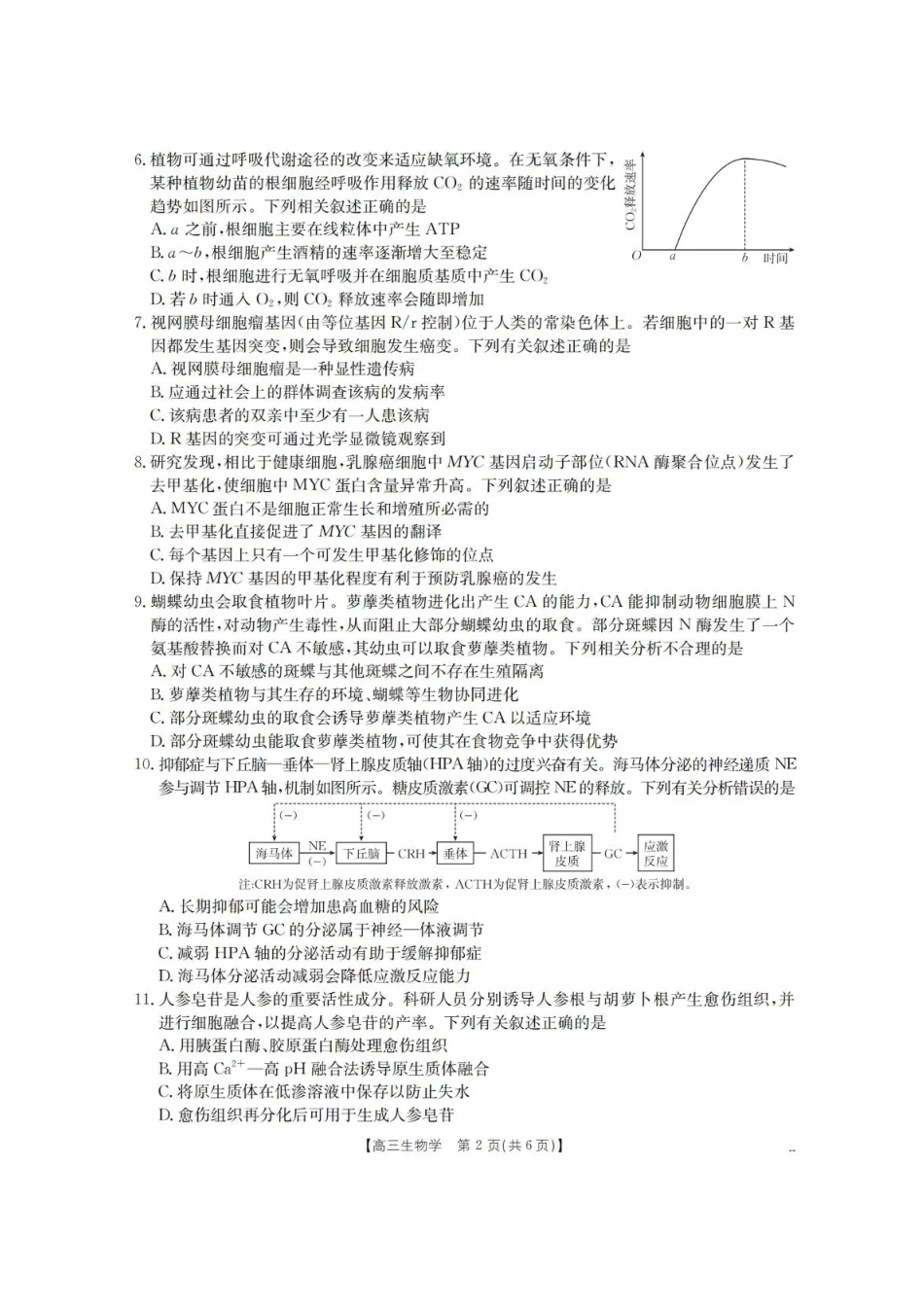青海省金太阳2025-2026学年高三上学期11月月考生物试题（含答案）.pdf_第2页