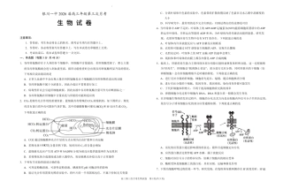 宁夏回族自治区银川一中2025-2026学年高三上学期第三次月考生物试卷（含答案）.pdf