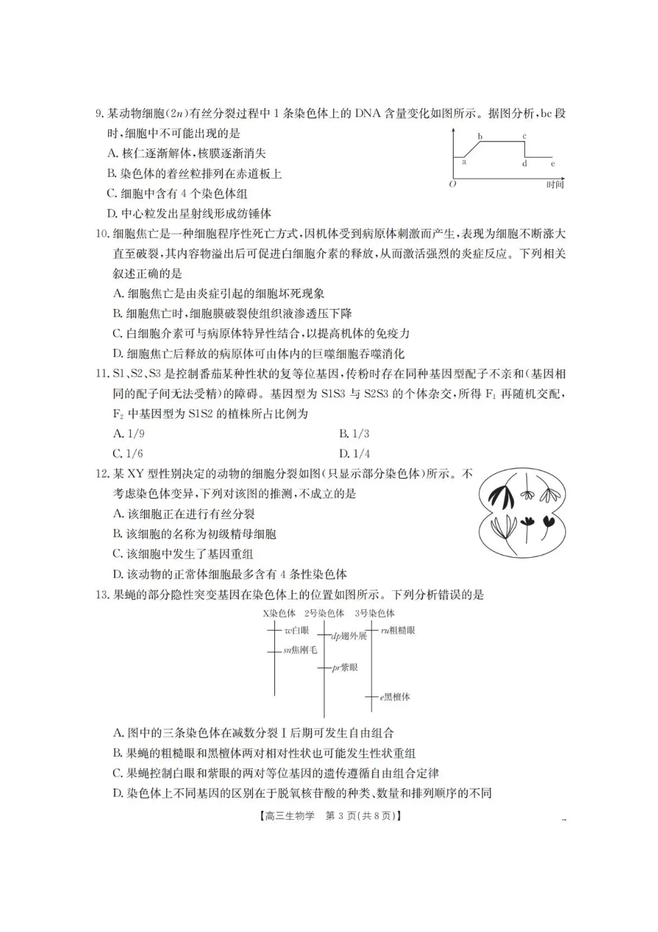 辽宁省葫芦岛市、县协作校2025-2026学年高三上学期第一次考试生物试题（含答案）.pdf_第3页
