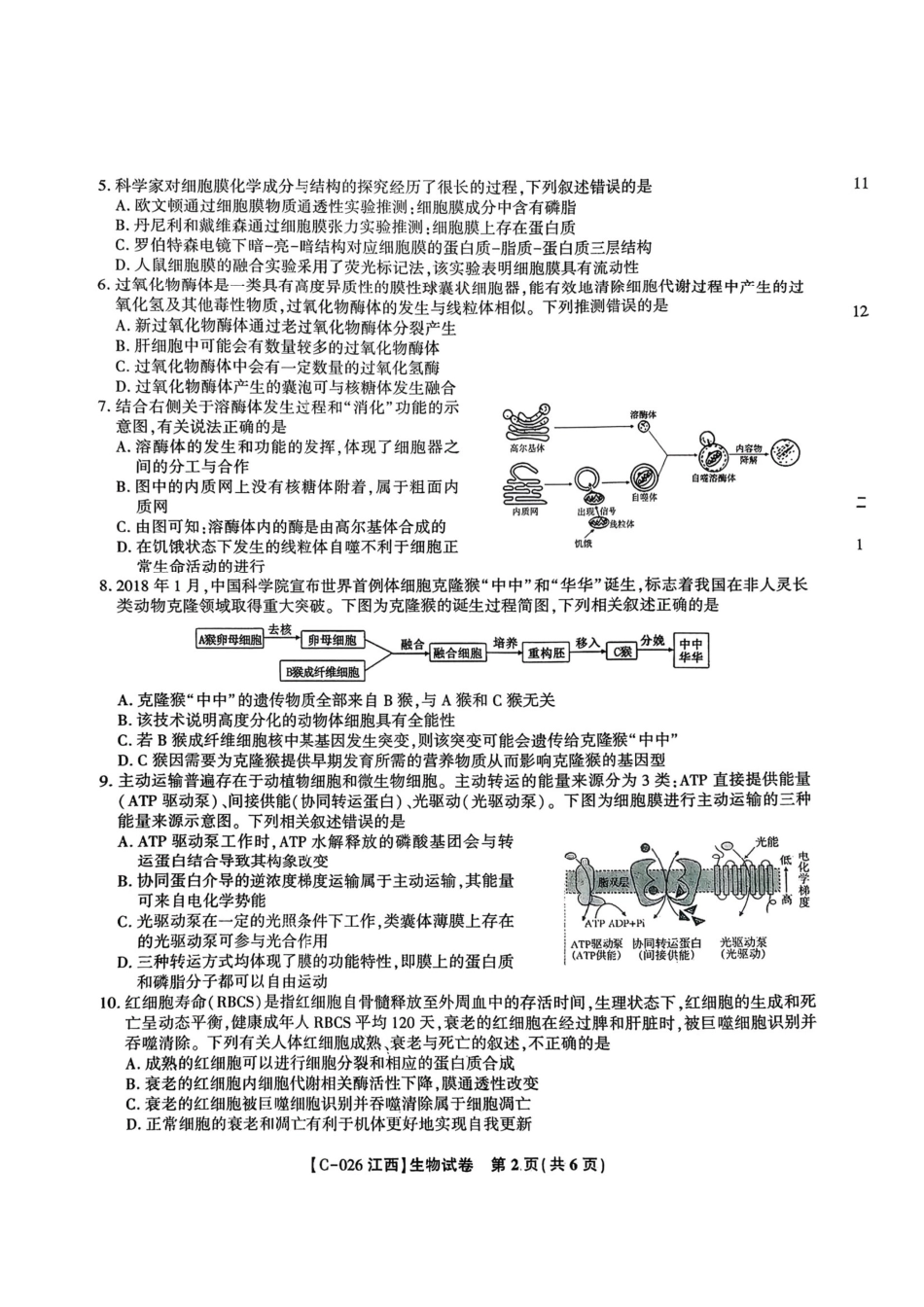 江西省九校2025-2026学年高三上学期11月期中考试生物试卷（含答案）.pdf_第2页