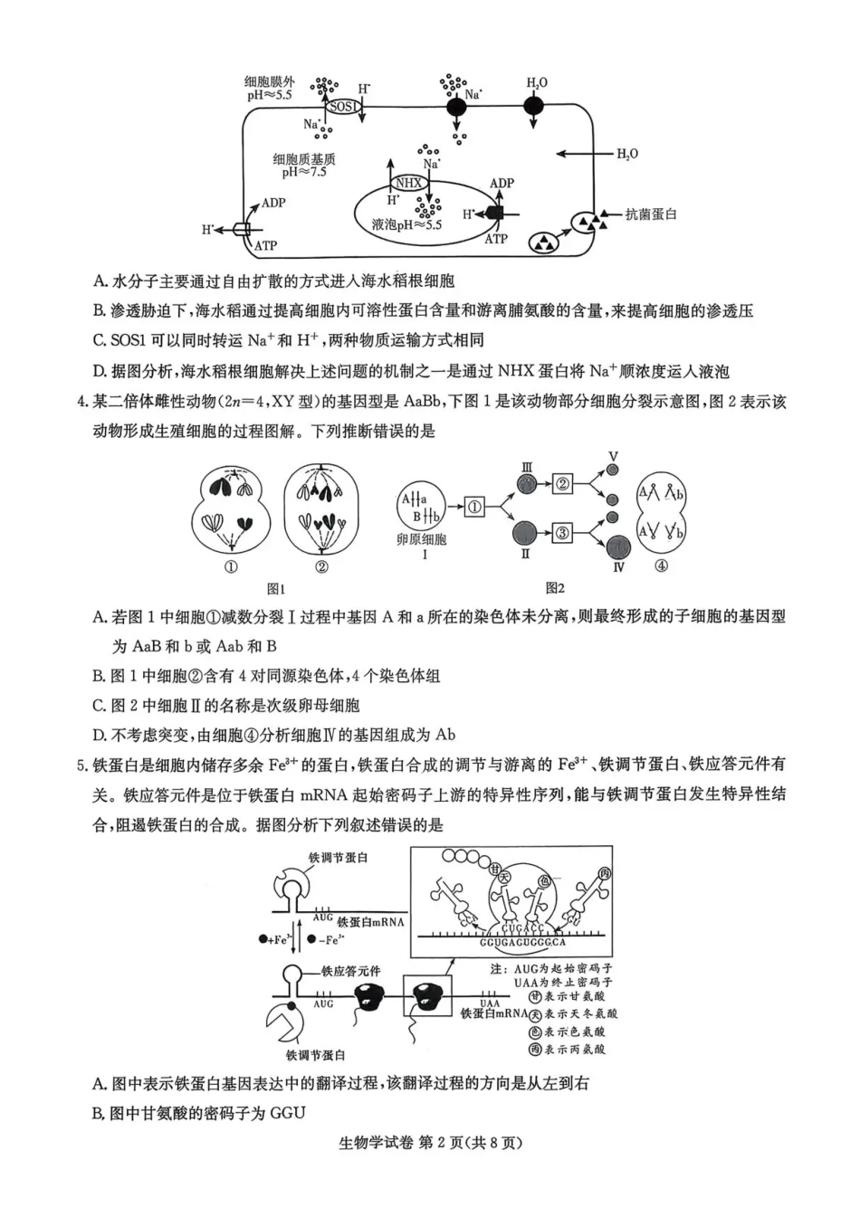 湖南省湘东教学联盟2026届高三上学期11月联考生物试题（含答案）.pdf_第2页
