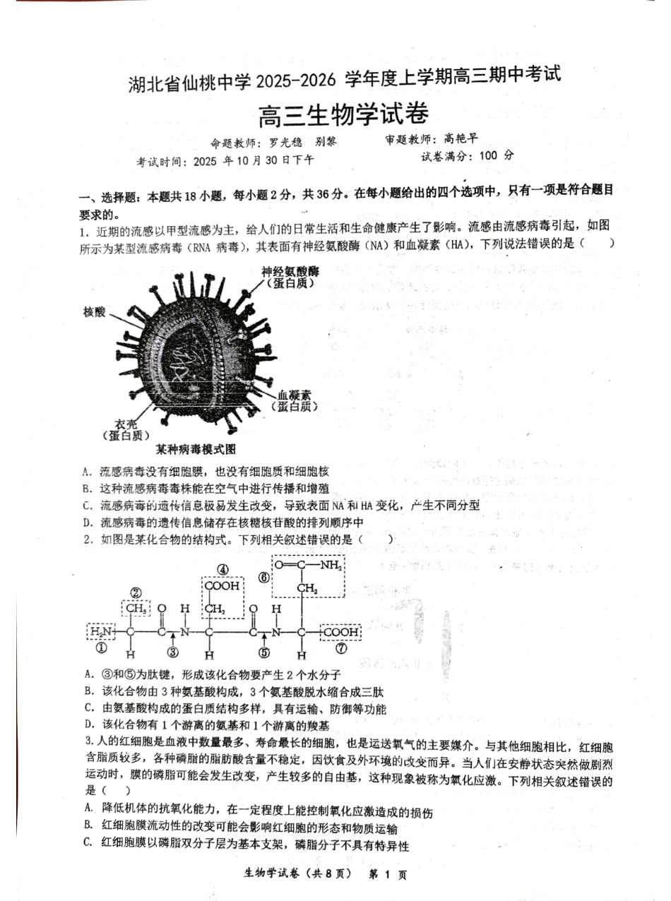湖北省仙桃中学2026届高三上学期期中考试生物试卷 含答案.pdf_第1页