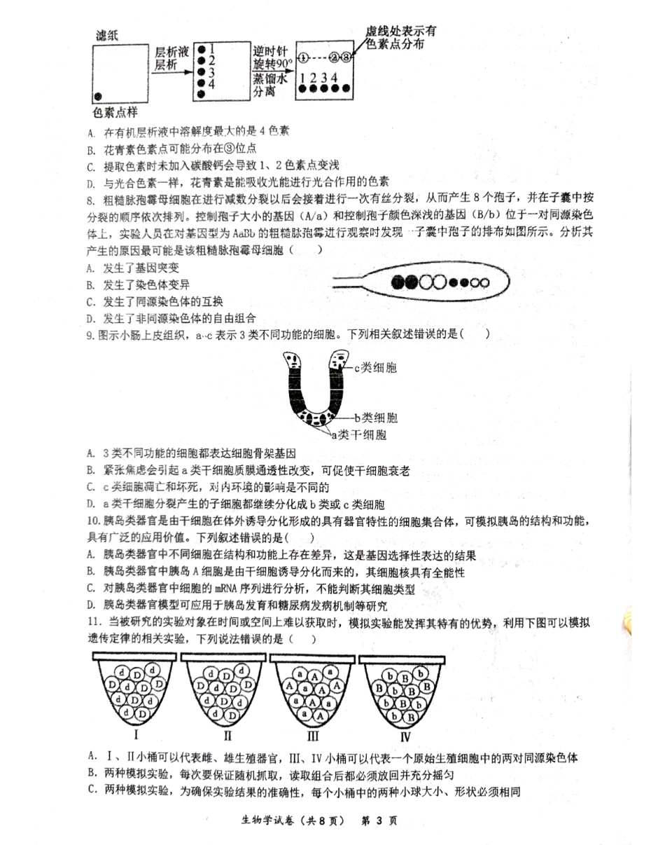 湖北省仙桃中学2026届高三上学期期中考试生物试卷 含答案.pdf_第3页