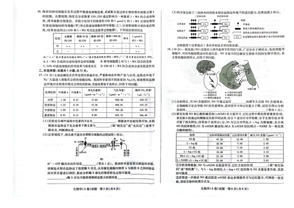 河南省天一大联考2025-2026学年高三上学期顶尖计划（二）生物试题（含答案）.pdf_第3页