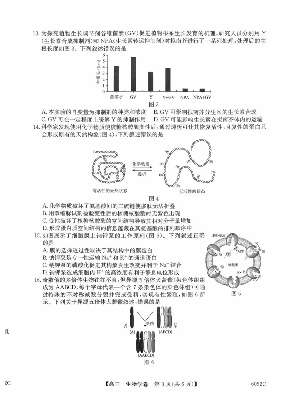广东省清远市2025-2026学年高三上学期10月教学质量检测（一）生物试题（含答案）.pdf_第3页