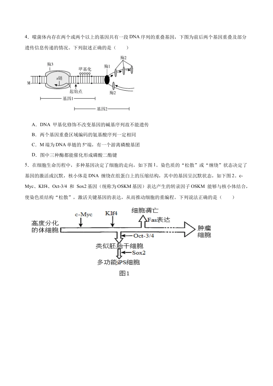 福建省泉州第一中学2026届高三上学期10月第二次月考生物试卷（含答案）.docx_第2页