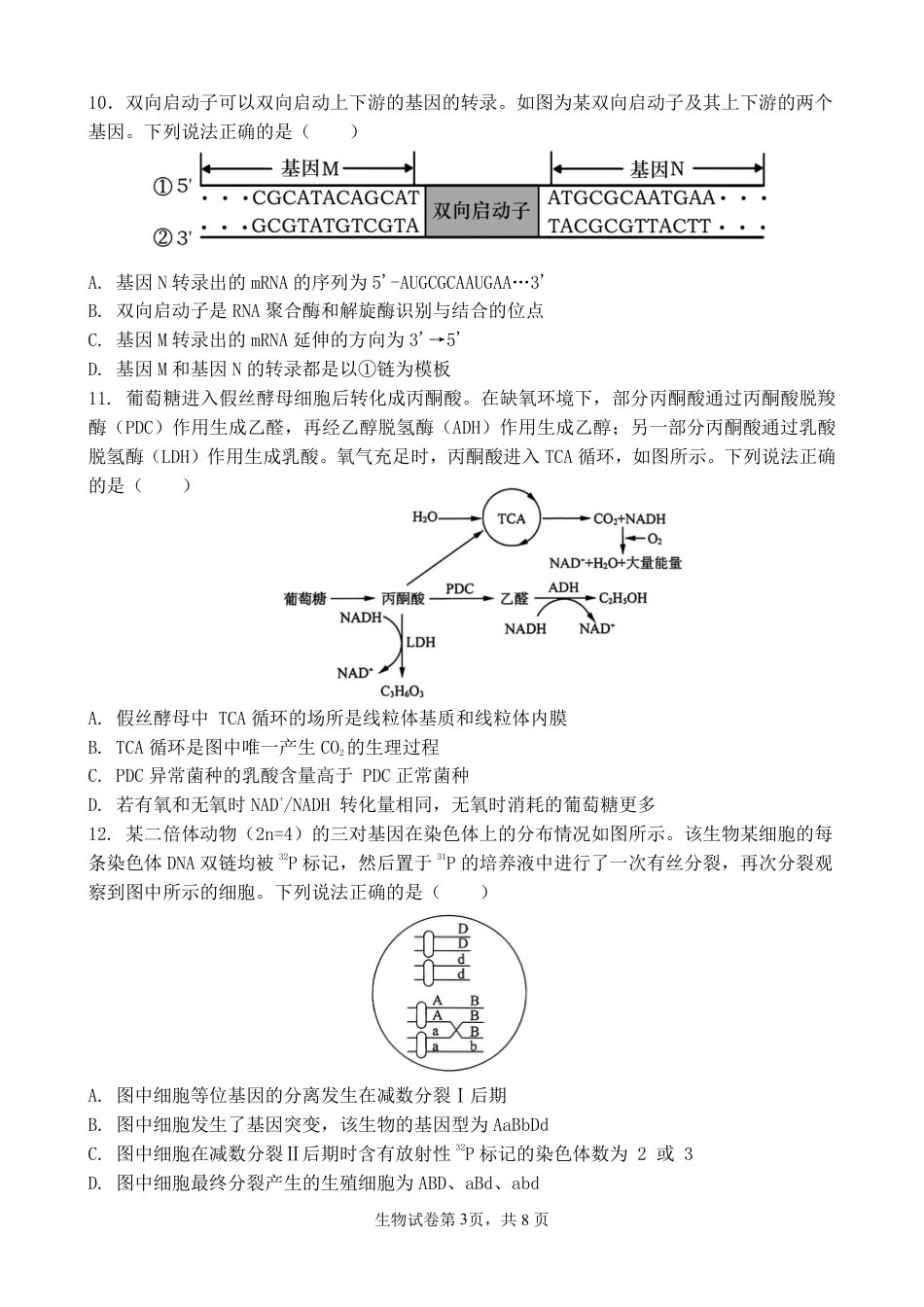 福建省福州第一中学2025-2026学年高三上学期11月期中生物试题（含答案）.pdf_第3页