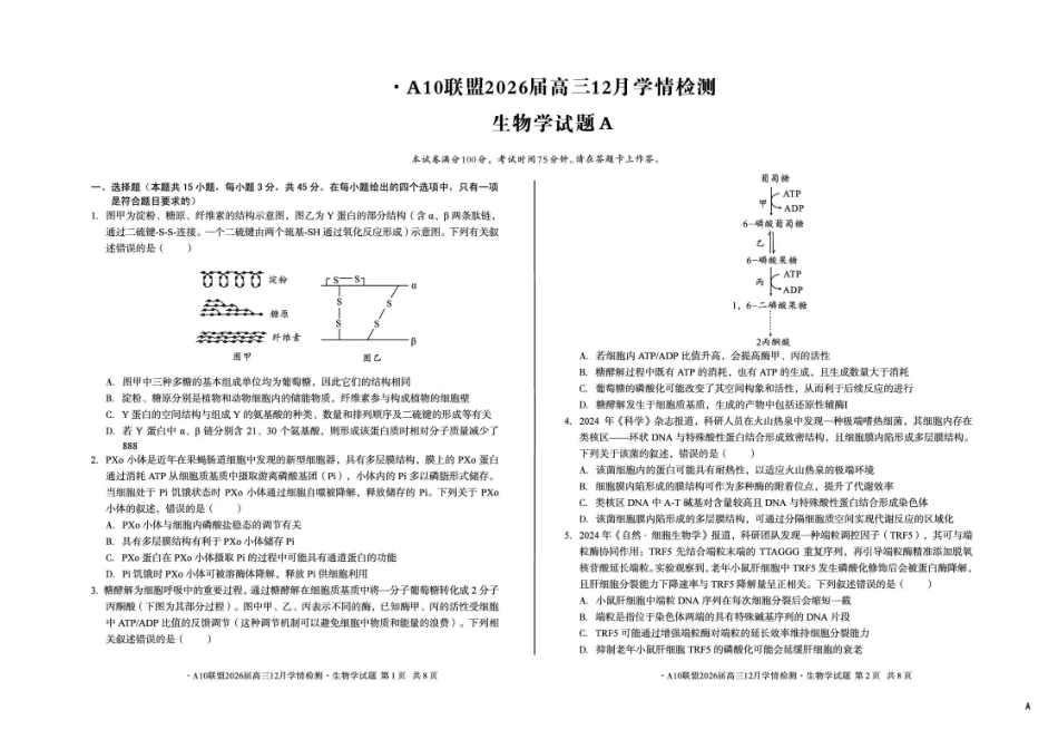 安徽省A10联盟2025-2026学年高三上学期12月学情检测生物A试题（含答案）.pdf_第1页