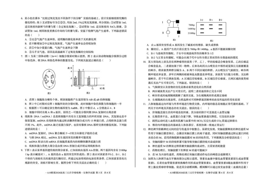 安徽省A10联盟2025-2026学年高三上学期12月学情检测生物A试题（含答案）.pdf_第2页