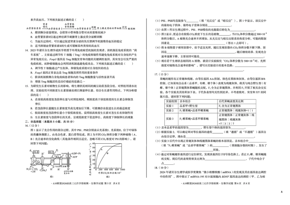 安徽省A10联盟2025-2026学年高三上学期12月学情检测生物A试题（含答案）.pdf_第3页